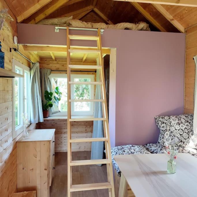 Nuit Insolite En Tiny House *